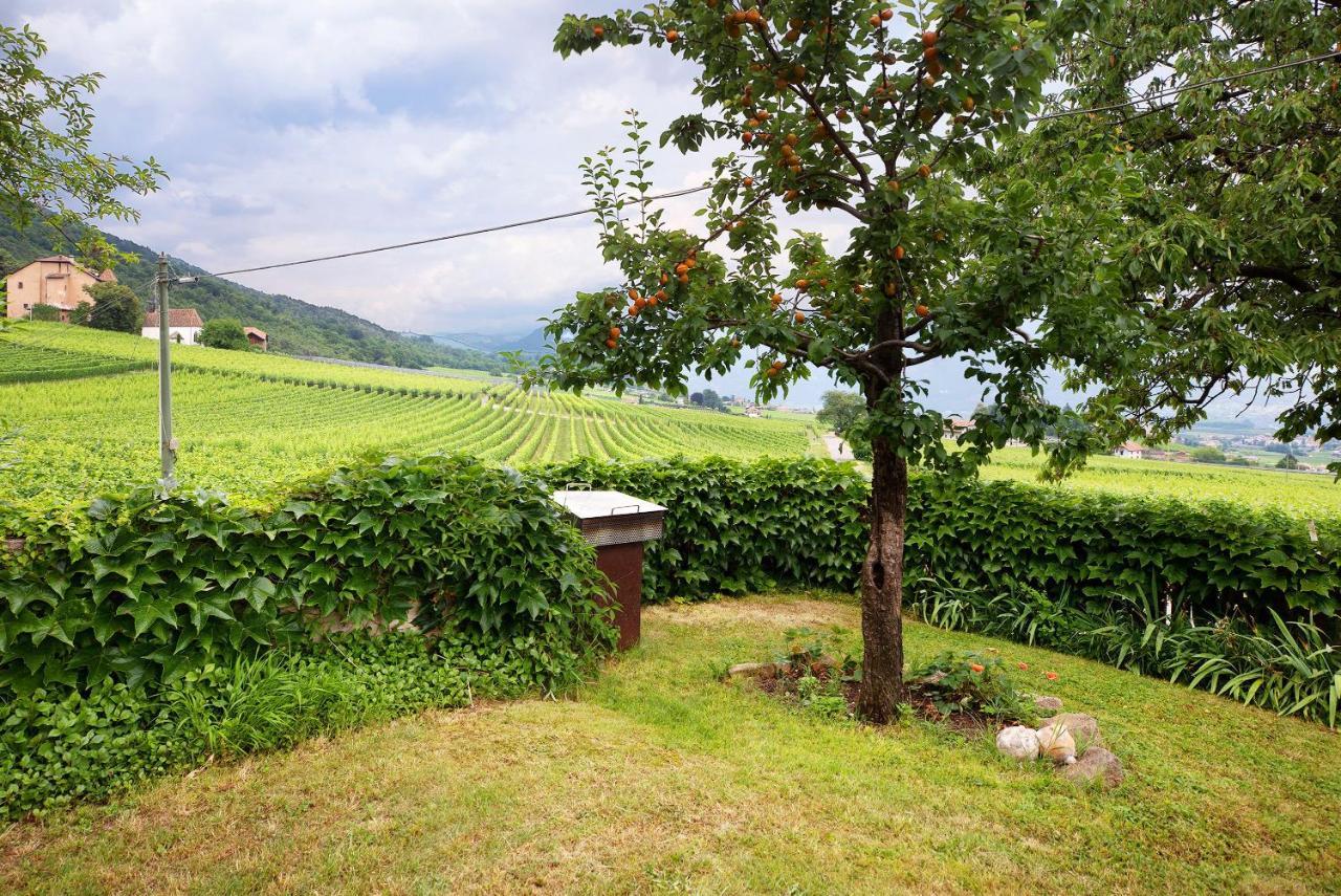 Harmony Apt 2 Appiano Sulla Strada Del Vino Zewnętrze zdjęcie